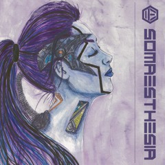 05 - Elevation (feat Vici)