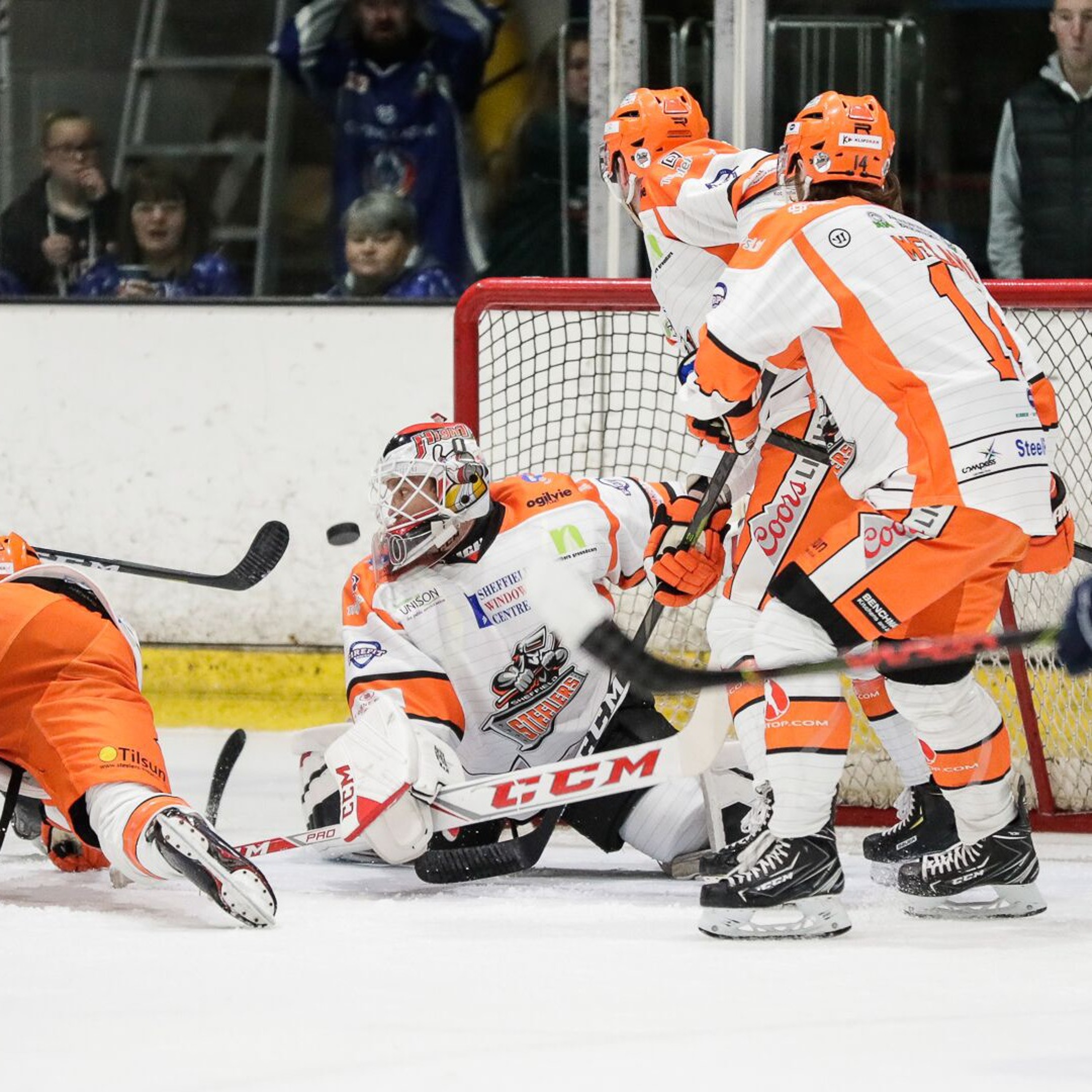 SheffieldSteelers