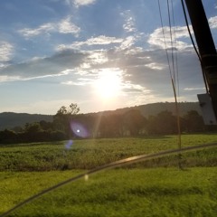 Toxins(prod. Sketchmyname & Vaegud)