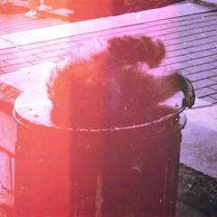 cryder x indigoendo help myself prod. nextime