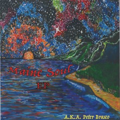 Heart On My Sleeve By A.K.A. Peter Brasco