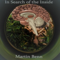 In Search of the Inside