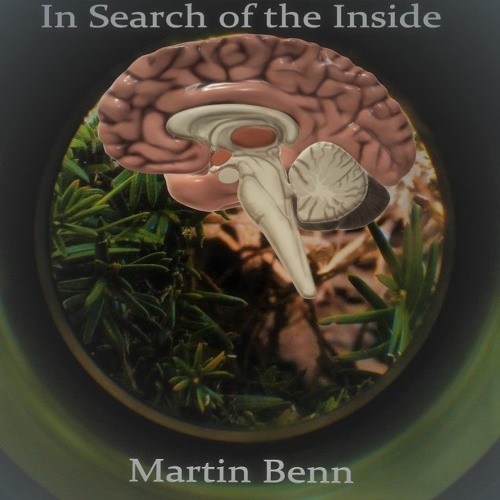 In Search of the Inside