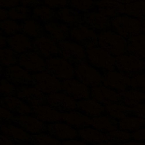 Evergreen (3K MILESTONE FREE DOWNLOAD)