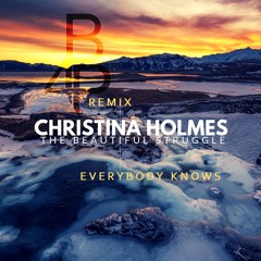 Christina Holmes - Everybody Knows (Brian For President Remix)
