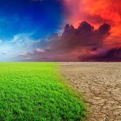 "Heated" Climate Journalist Emily Atkin