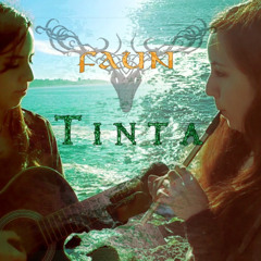 FAUN - Tinta (Cover by The Pagan Minstrel)