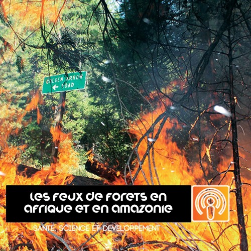 Santé, Science et Développement - Episode 3