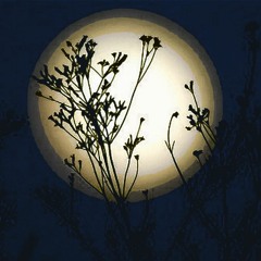 Classic Black - In The Air Tonight - LIVE at the BOO