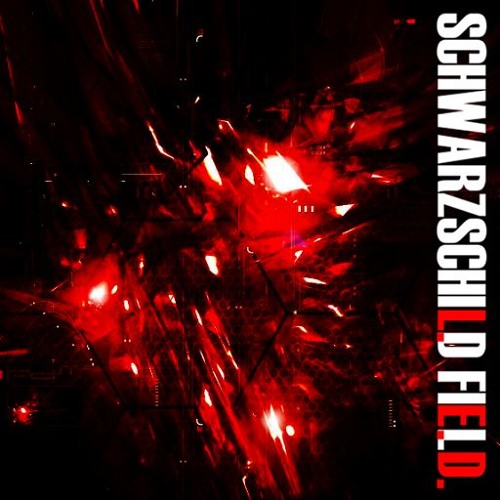 NICHIRIN + SCHWARZSCHILD FIELD(Mashup)
