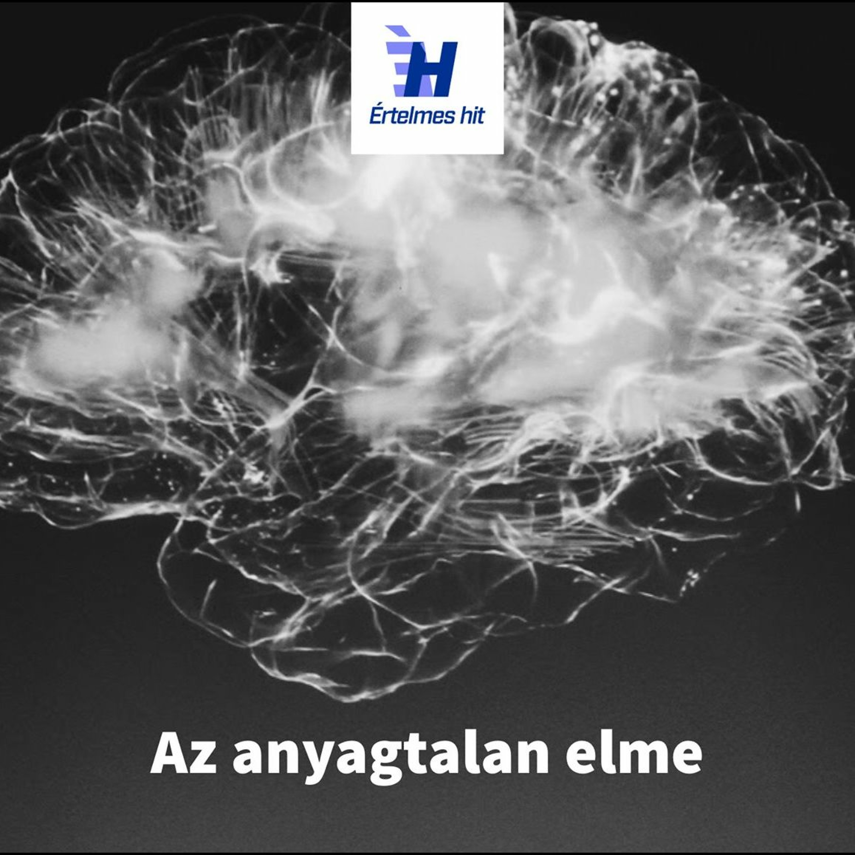 (3/3) A lélek-hipotézis: érvek a dualizmus mellett (Értelmes hit podcast #7) episode artwork