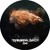 Artwork for Hypnoise Theory & Drinko - The Code
