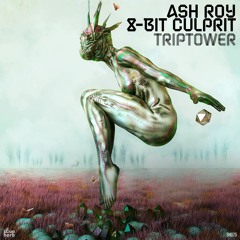 [SNIPPET]_Ash_Roy_,_8-Bit_Culprit_-_Triptower_(_Original_Mix_)_[Soupherb_Records]