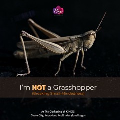I'm Not A Grasshopper - Breaking Small - Mindedness