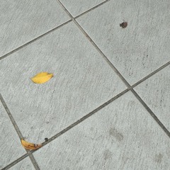 Test Your Taste: Efek Rumah Kaca - Tiba-tiba Batu