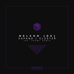 Nelson (DE) - Cluster (paawl Remix) (Edit)