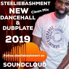 Steeliebashment Dancehall & Dubplate Mix 2019 CLEAN