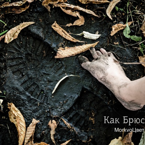 MorkvoЦвет — Как Брюс
