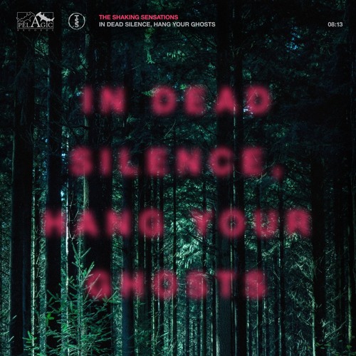The Shaking Sensations - In Dead Silence, Hang Your Ghosts