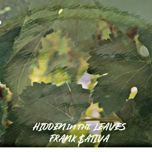 TheIceMan(prod.NappyHeadedFool)