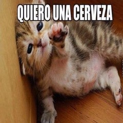 Por Favor - Las Cervezas