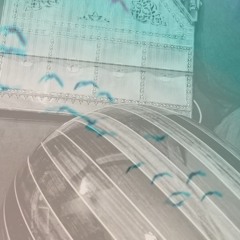 Arif