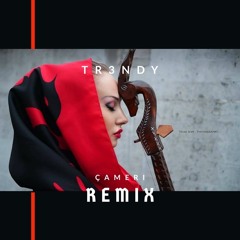 TR3NDY - Çameri ( REMIX )