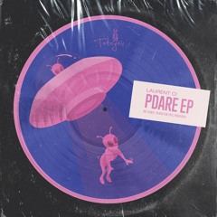 Laurent Ci - Pdare (Paradoxal Remix)