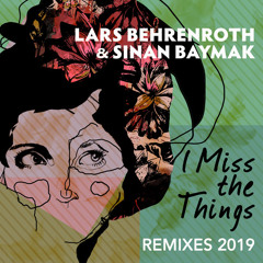Lars Behrenroth & Sinan Baymak "I Miss The Things (Michael Ashe Remix)" [Deeper Shades Recordings]