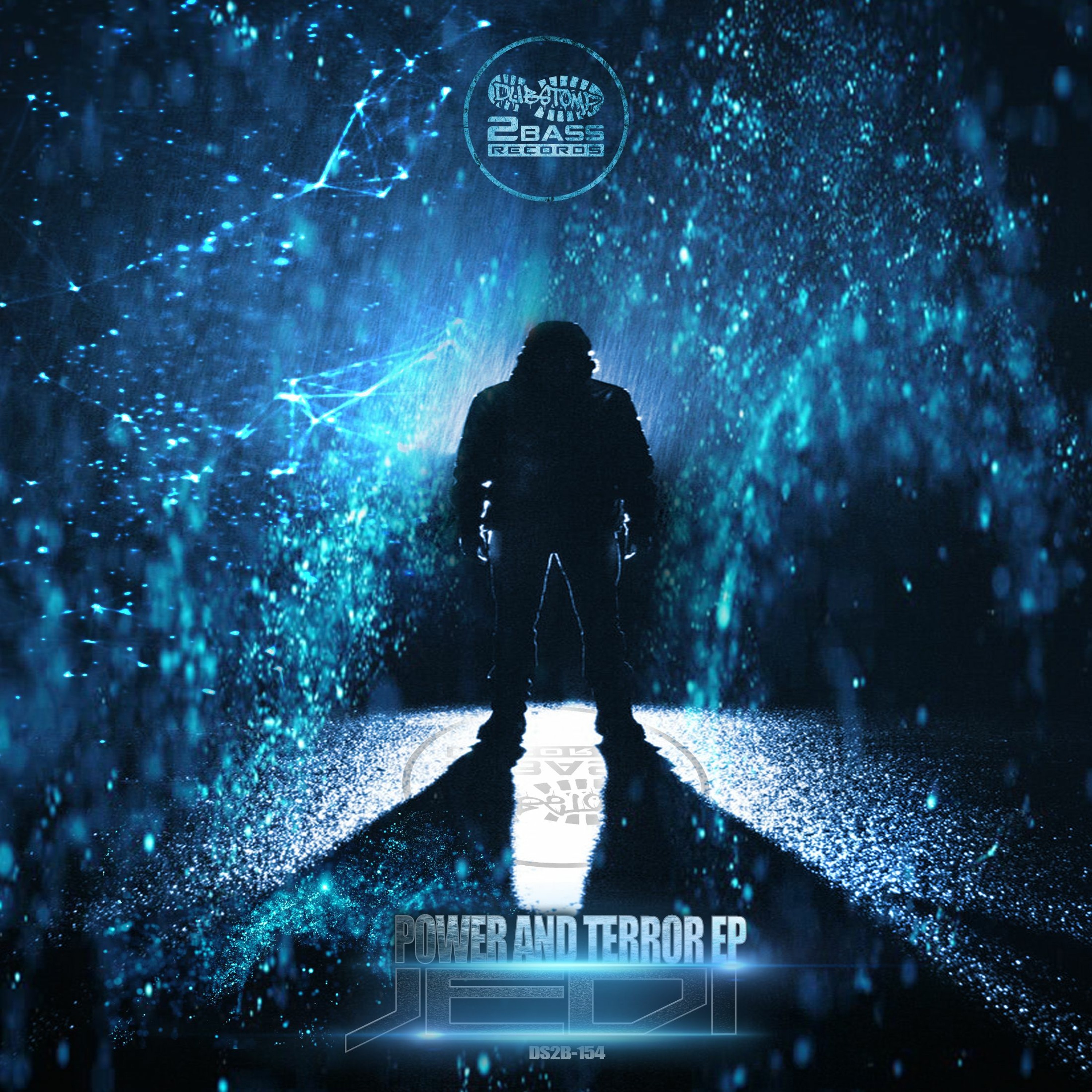 DS2B RECORDS