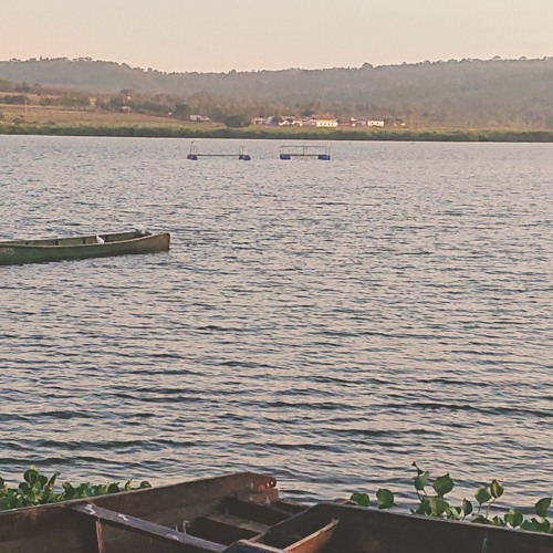 SMNM - Through My Heart