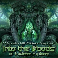 Schotty @In To The Woods 2.0 / Darktechno / 07.09.19