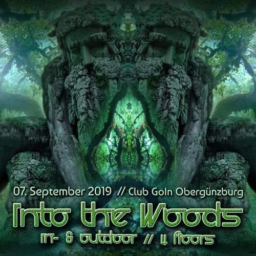 Schotty @In To The Woods 2.0 / Darktechno / 07.09.19