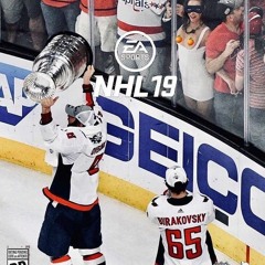 BAPS CEO - Baps Anthem