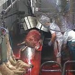 Interstellar Abattoir