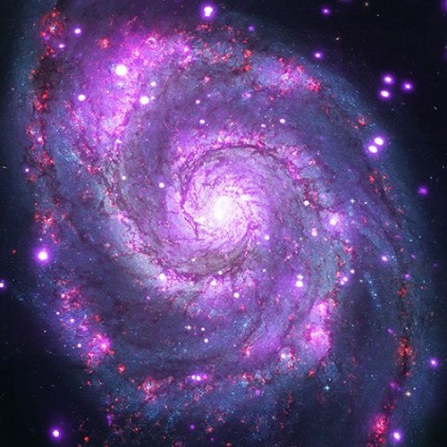 TheWhirlpoolGalaxy