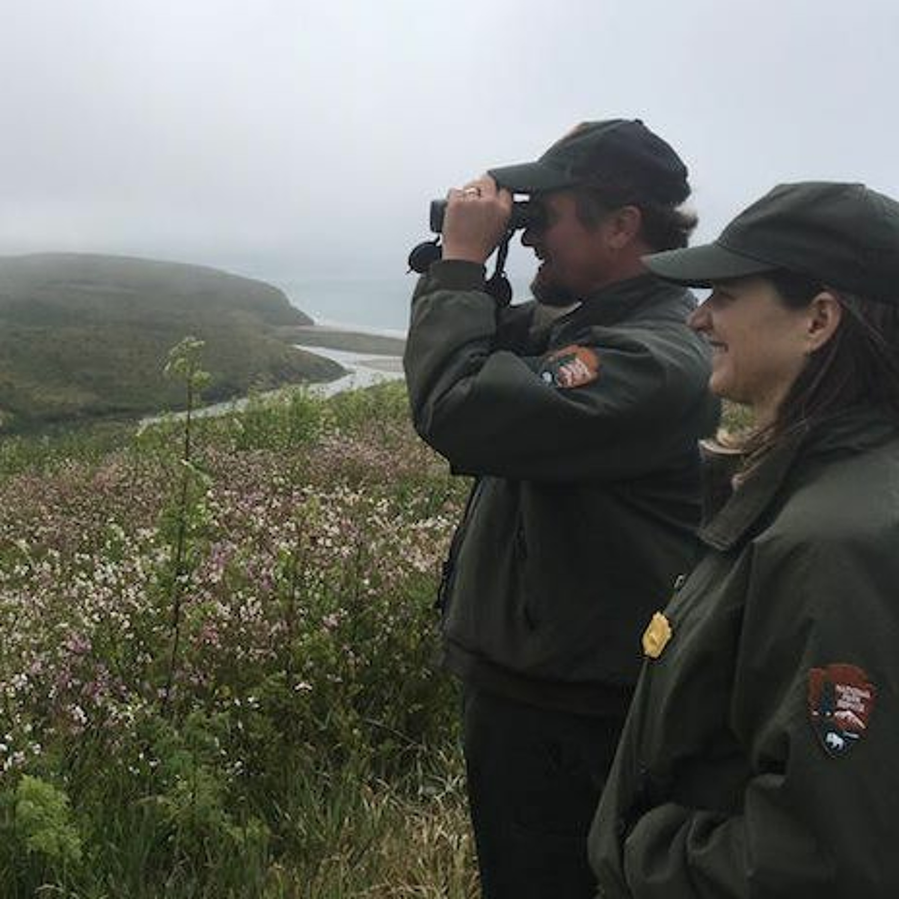 Point Reyes Releases Controversial Draft Plan To Manage Elk And Expand Ranching episode artwork