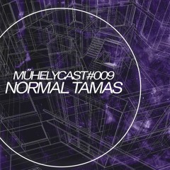 Normal Tamas - műhelycast #009