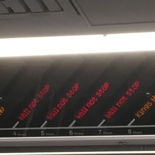 It's just me against the world of horrible algorithmic recommendations