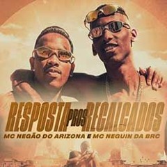 MC Negão Do Arizona E MC Neguin Da BRC - Resposta Pros Recalcados (kondzilla.com)