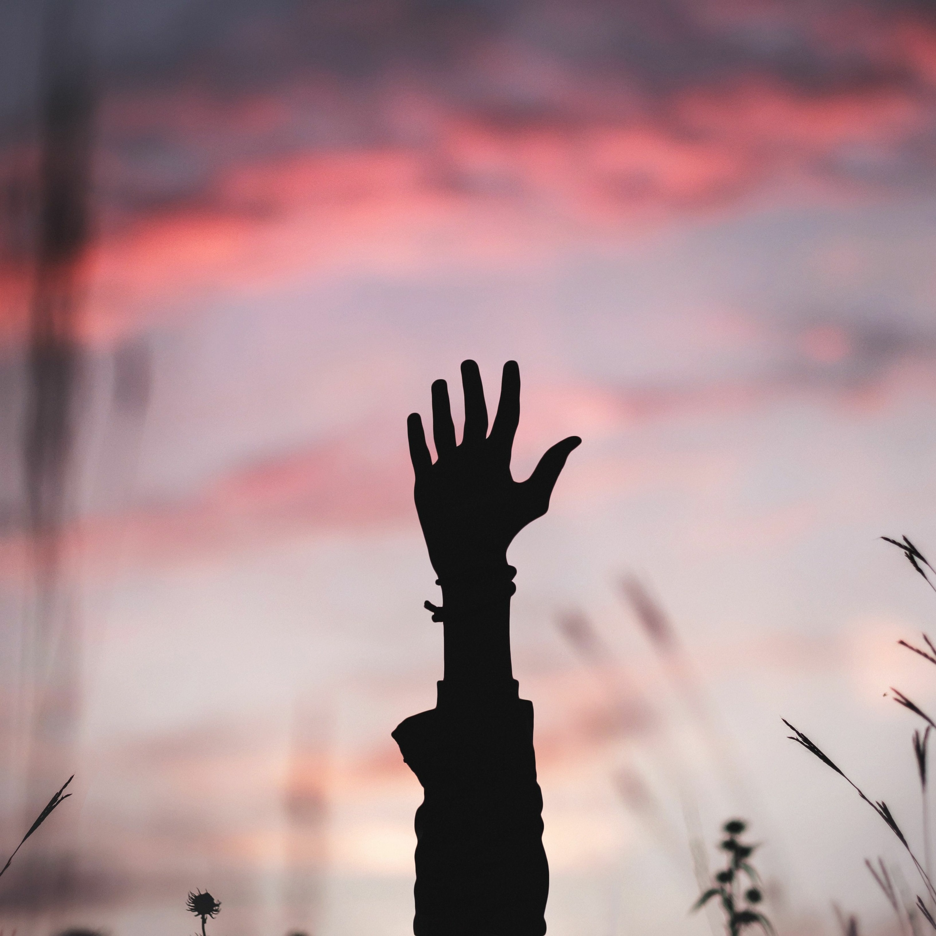 2019 09 08 The Kingdom Is At Hand, The Kingdom Is Here by Rod Woods