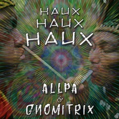 Allpa & Gnomitrix - Haux Haux Haux (DEMO) NO MASTER