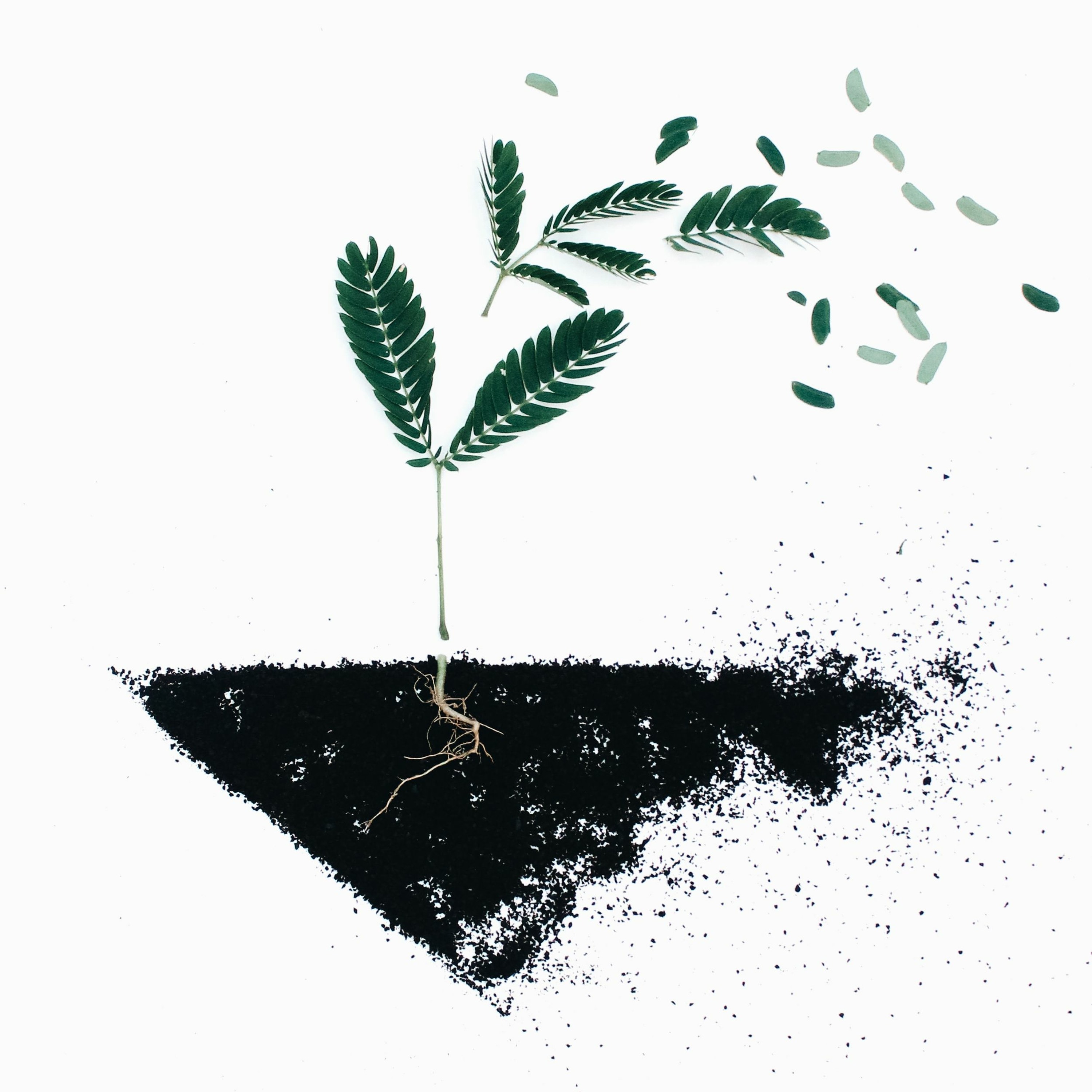 The Secret Of The Seed - Clint Byars episode artwork