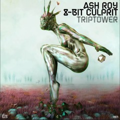 PREMIERE: Ash Roy & 8-Bit Culprit - Basidia (Original Mix) [Soupherb Records]