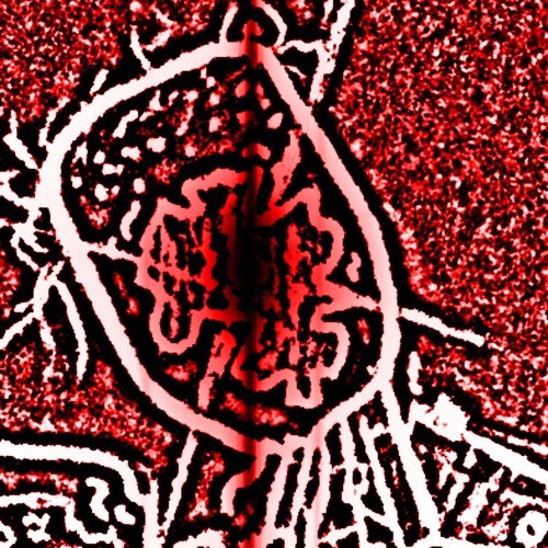 (OLD) Malicious Intent: Boss 3 (From SCP: Missing in Action)