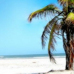 ao lemnak kön eok.m4a