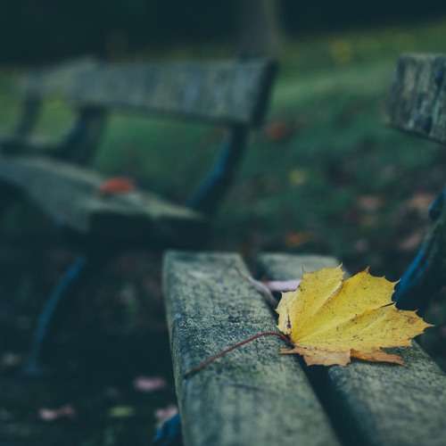 Our Last Fall