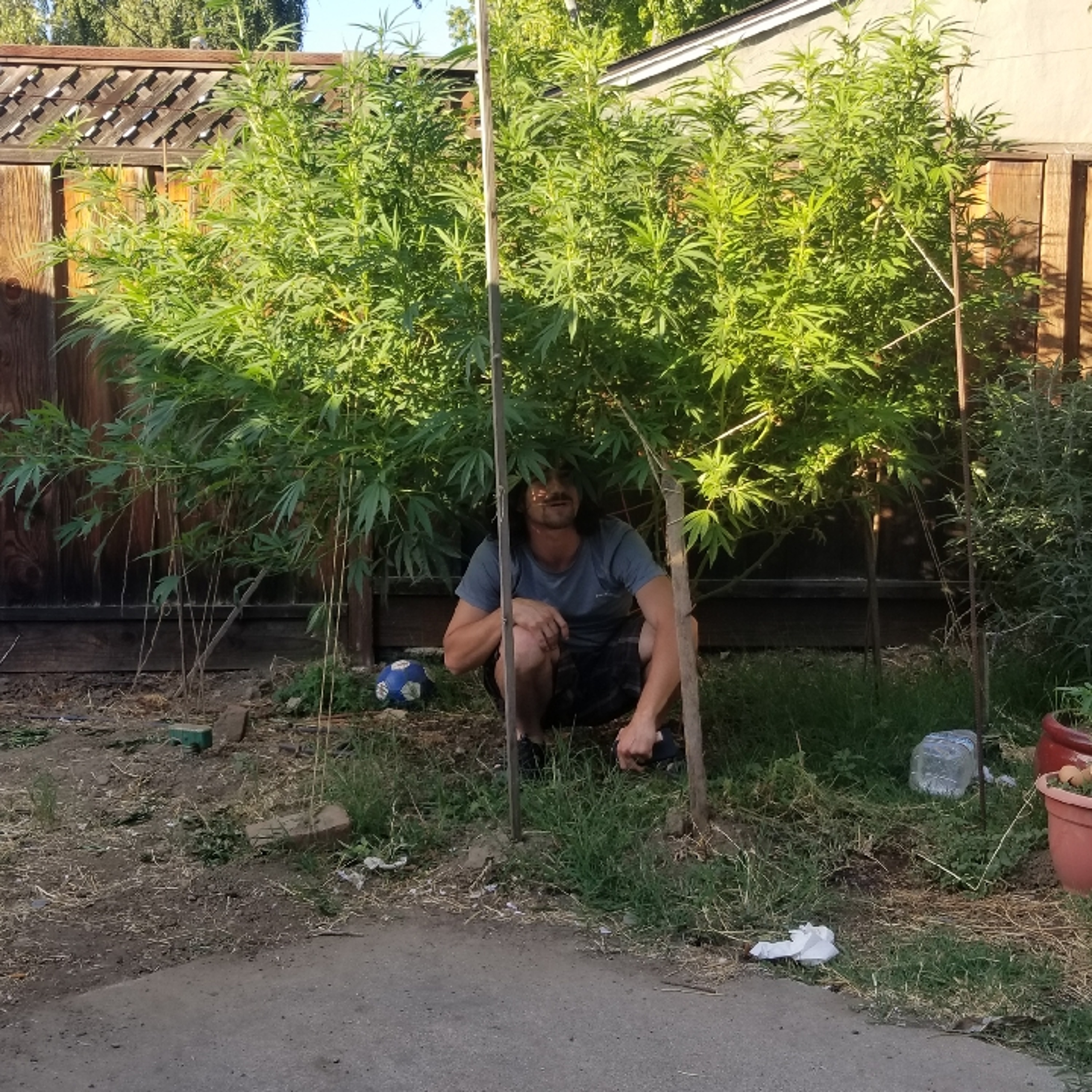 ASAP episode artwork