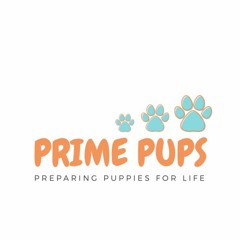 DOGS WHINING And Crying Sound Effect Show This To Your Dog And See What Happens HD