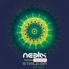 Neelix & Vök - Before (Well Done Remix/ STALK3R RE-EDIT)